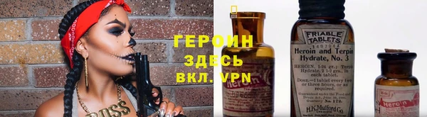 прущие грибы Баксан