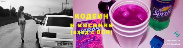 прущие грибы Баксан