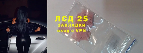 прущие грибы Баксан