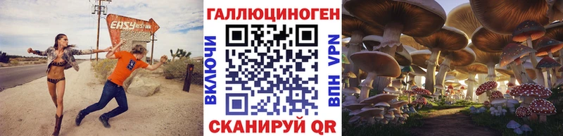 Псилоцибиновые грибы Cubensis  Гурьевск 